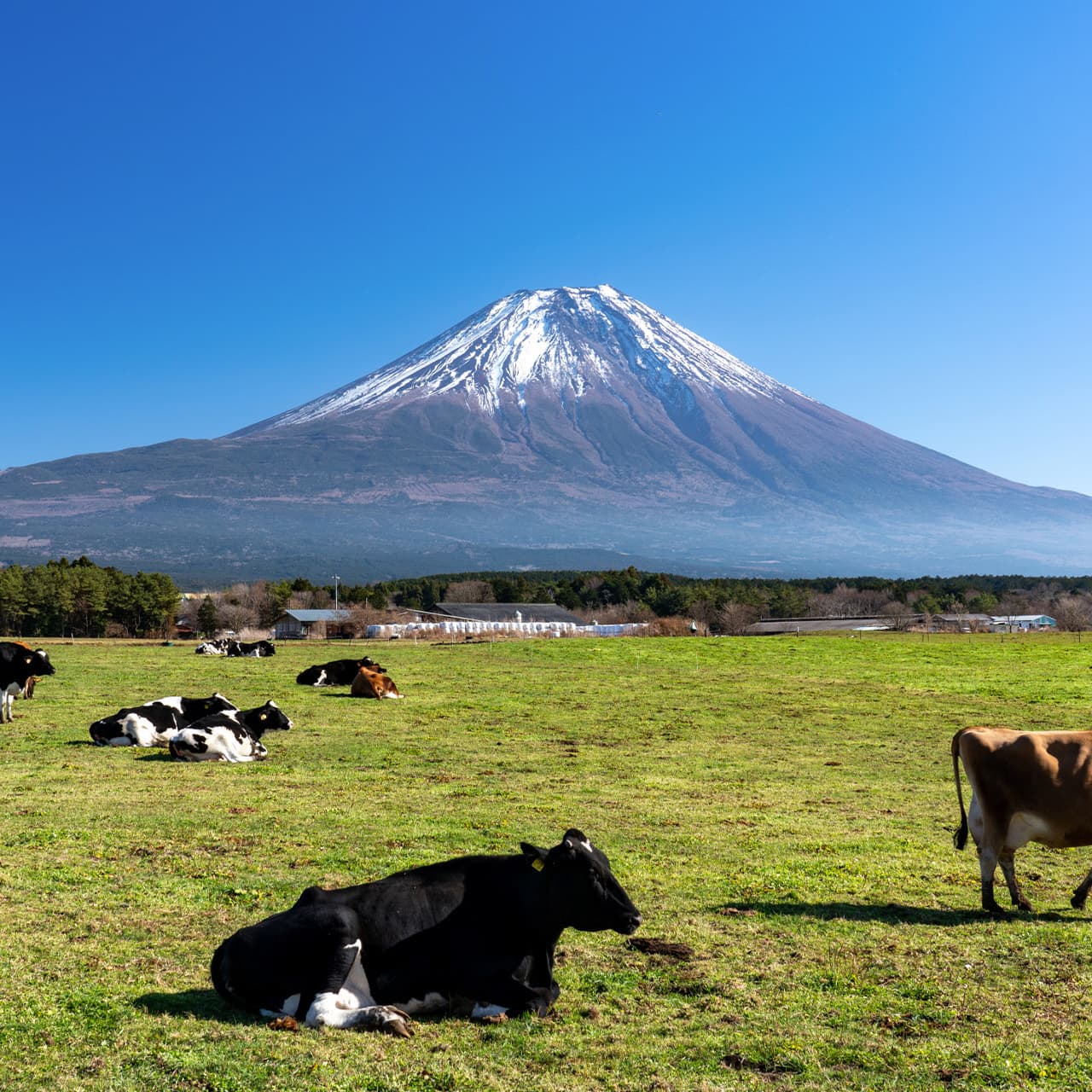 場外・パーク＆キャンプ場 様子2