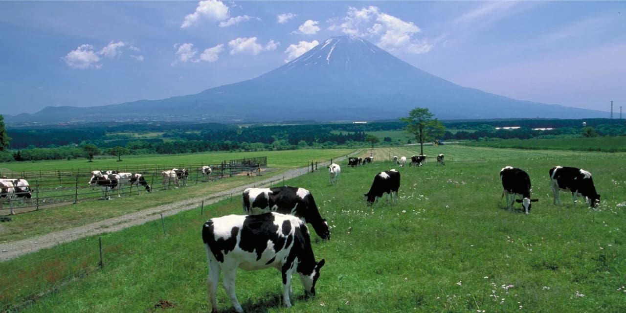 美味しい牛乳を飲んで地元酪農家を応援！ イメージ